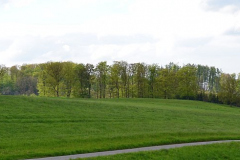 Landschaft