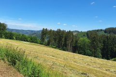 Landschaft