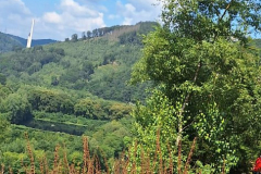 Landschaft
